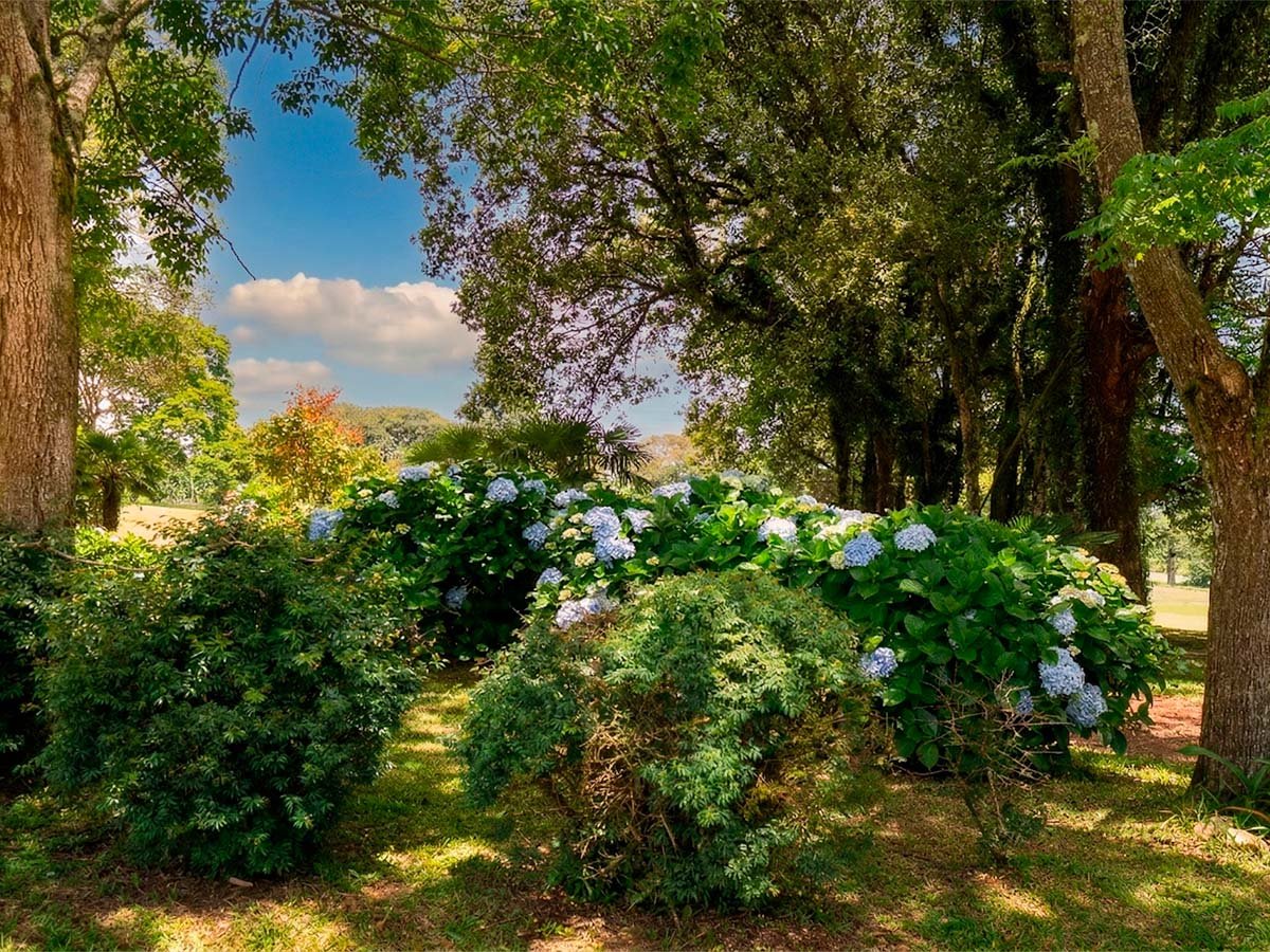 Quadra de vôlei de areia