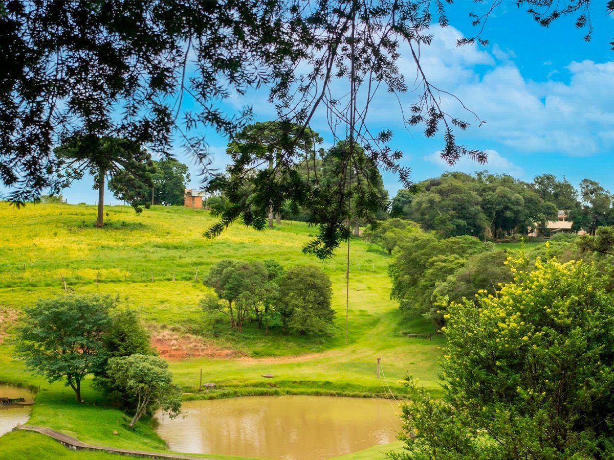 Futebol campo natural
